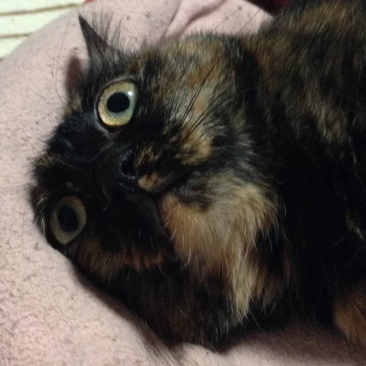 C9a6f333 bb02 4441 9e19 0488a5bf3add