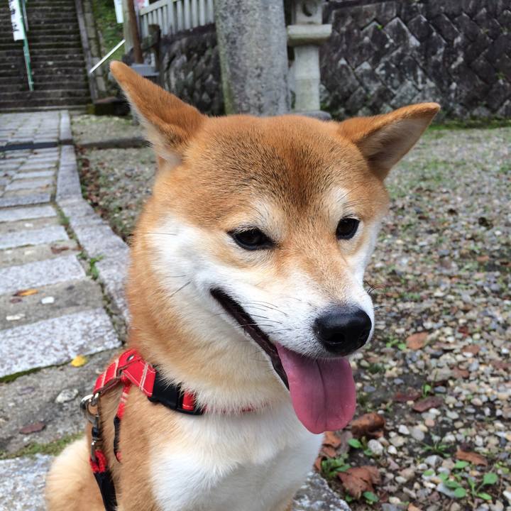 C9a75854 9d97 457a 8330 4d12cc2a3459