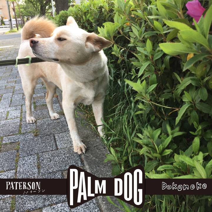 C9a75ba8 91ce 4e06 83db 3ed954c34e0d