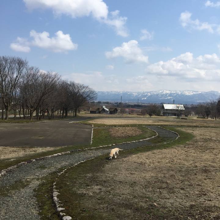 C9a80cd0 23c9 4c4c 99c5 049aa9dbcbe9