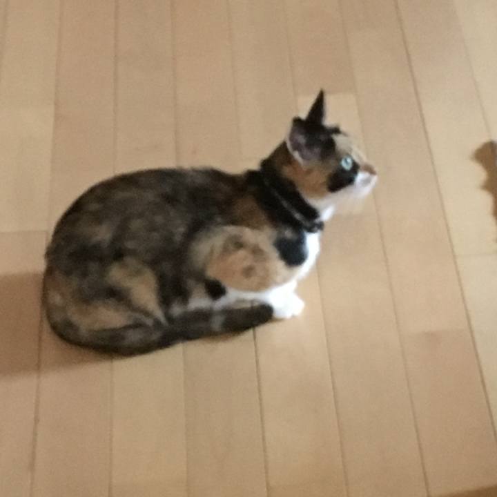 C9a83fe7 35f7 43e1 b7fe 7c08d1cd3a18