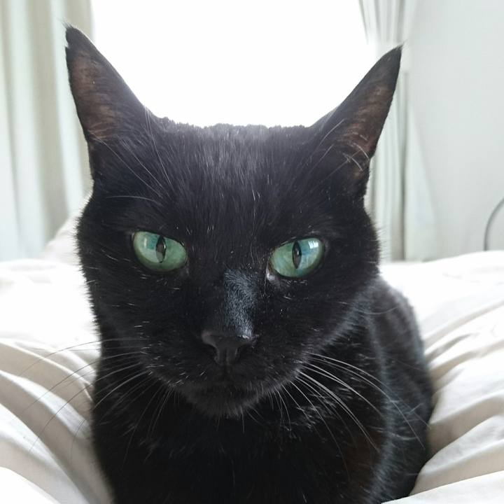 C9a8b309 6791 432a b54a 328657517315