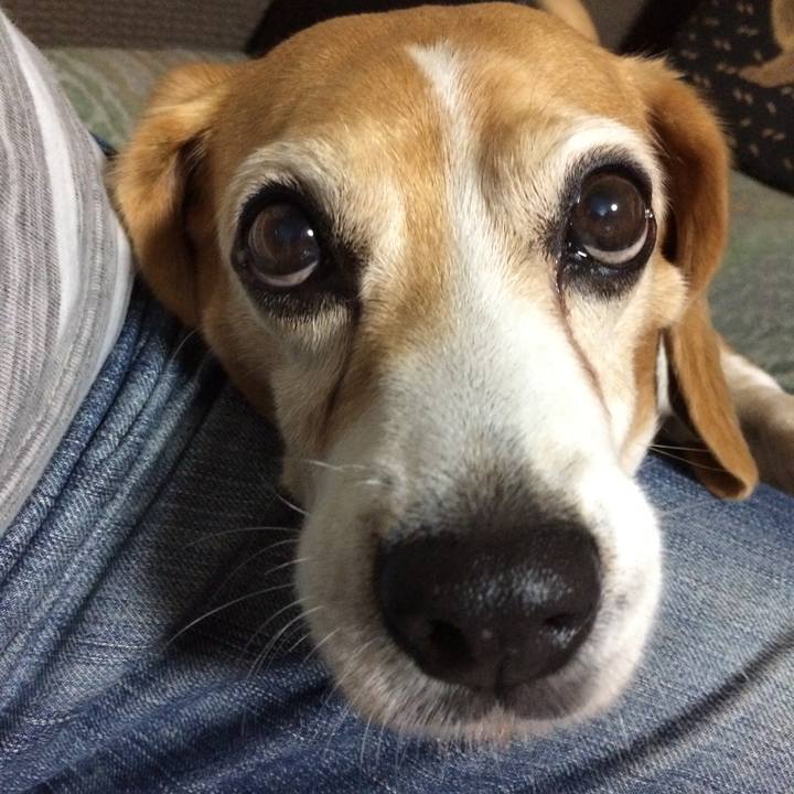 C9a938cc a640 43d2 9fba 7ad76182dcba