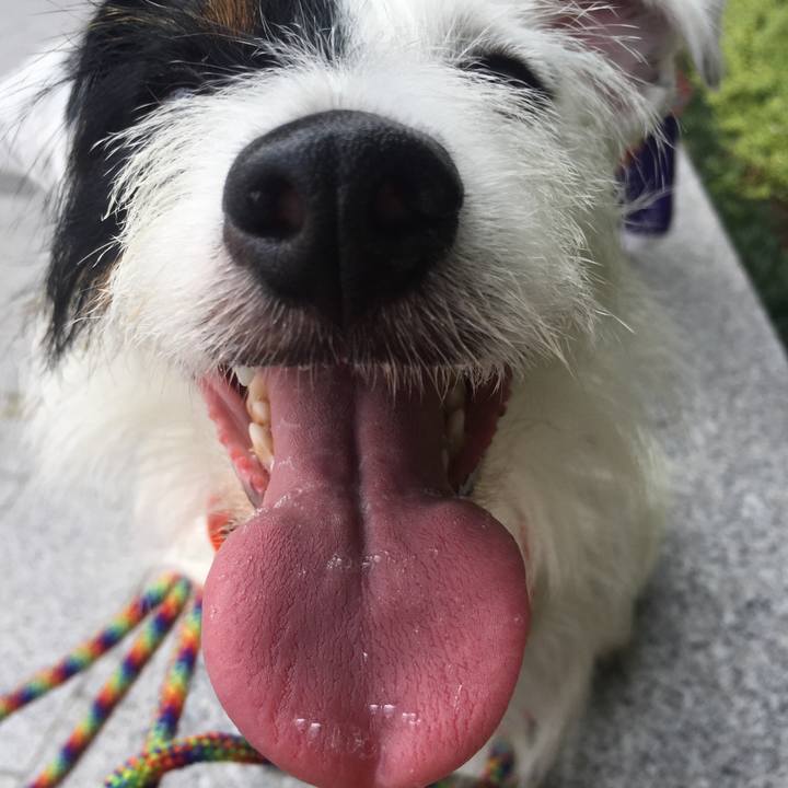 C9a9fc2e 089e 4a1e b3f8 2e44fcf69d5e