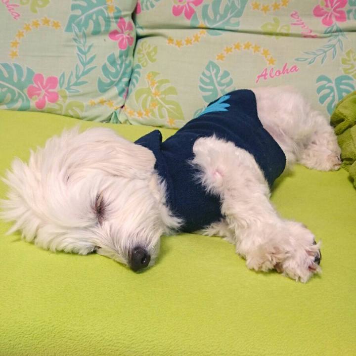 C9aa1d7e 2866 4086 abf9 7077622279ca