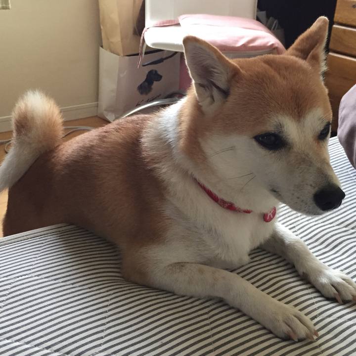 C9aa34a7 345d 4878 8a3d 192b5f229eab