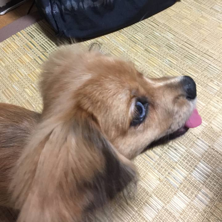 C9aa44fa 0875 4d5b a0d8 7e2c96df5a94