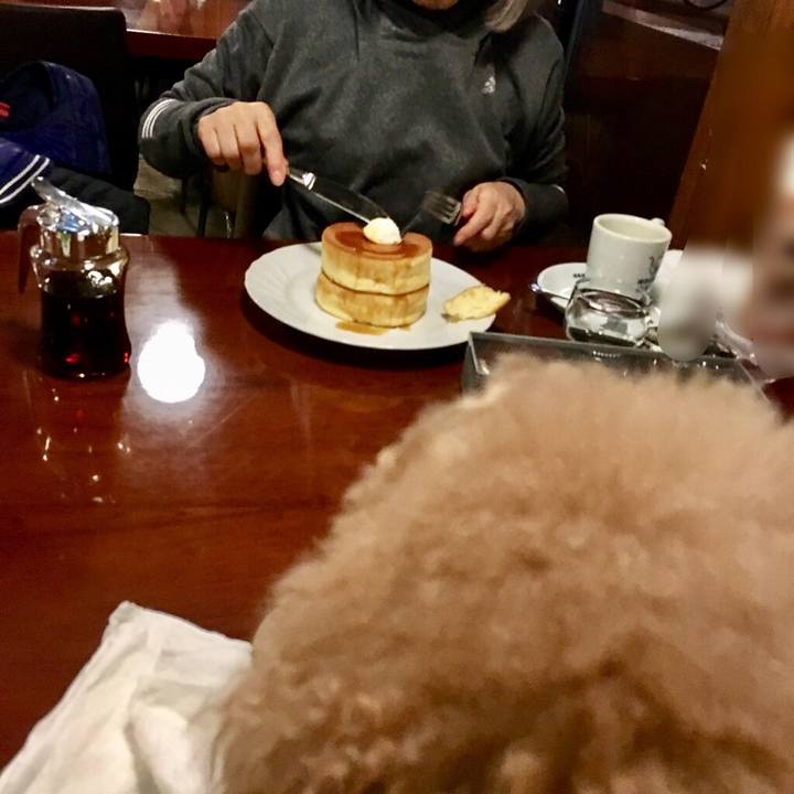 C9aa620c e067 48f7 9434 0abe0b6b7fcb