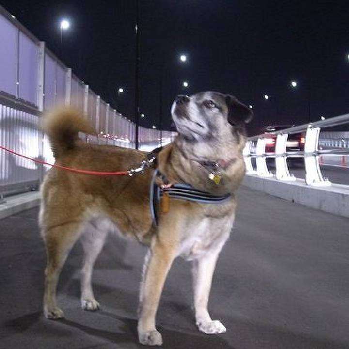 C9aa6780 0893 4c32 b6c0 b8685b690985