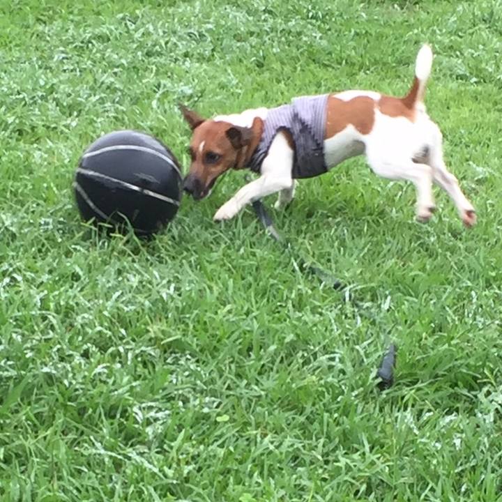 C9aa93dd ca29 4f8d a3bc e2256c0221f6