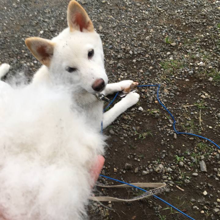 C9ab1f67 546a 4360 8dba 803594e1a066