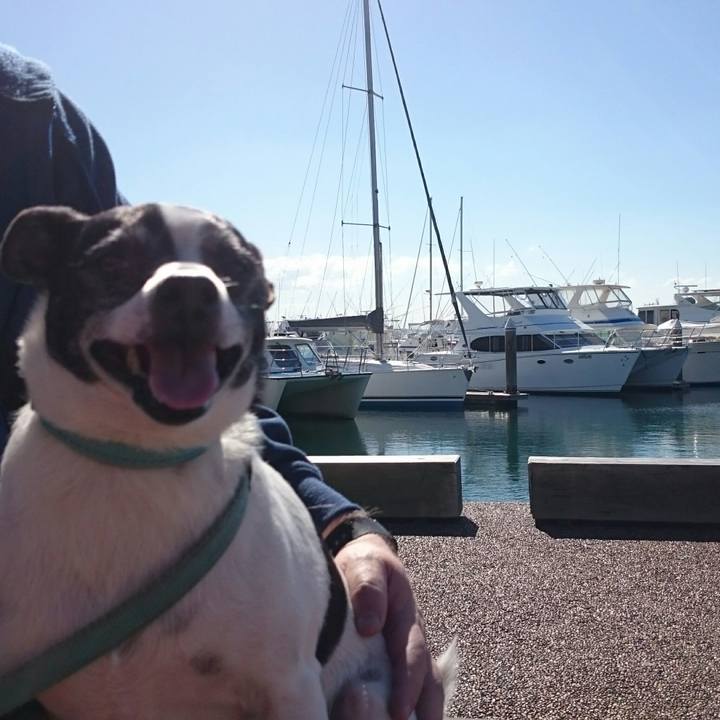 C9ac1d60 83e4 47b7 b7dc 8fdabd958b51