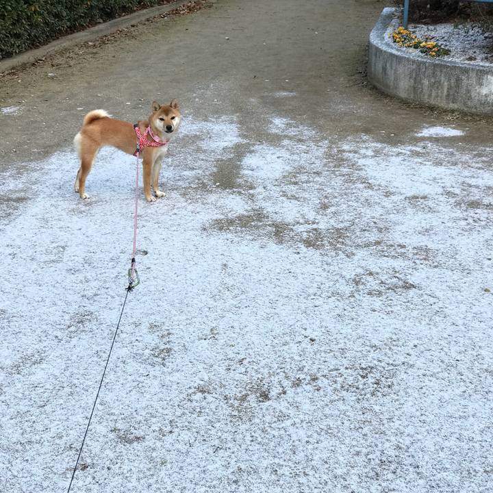 C9ad2a25 0a1f 4f6a 90b7 6a8c83c1a898