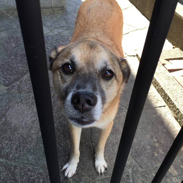 C9add065 0e5b 4ba0 bb7a 947f5c069a88