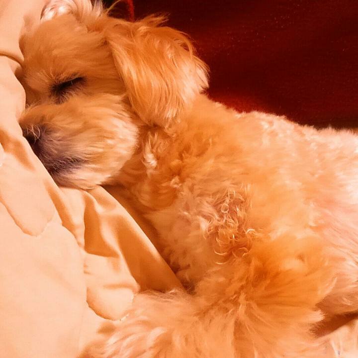 C9ae1613 4aea 460b 9ba8 422be8f3c4f1