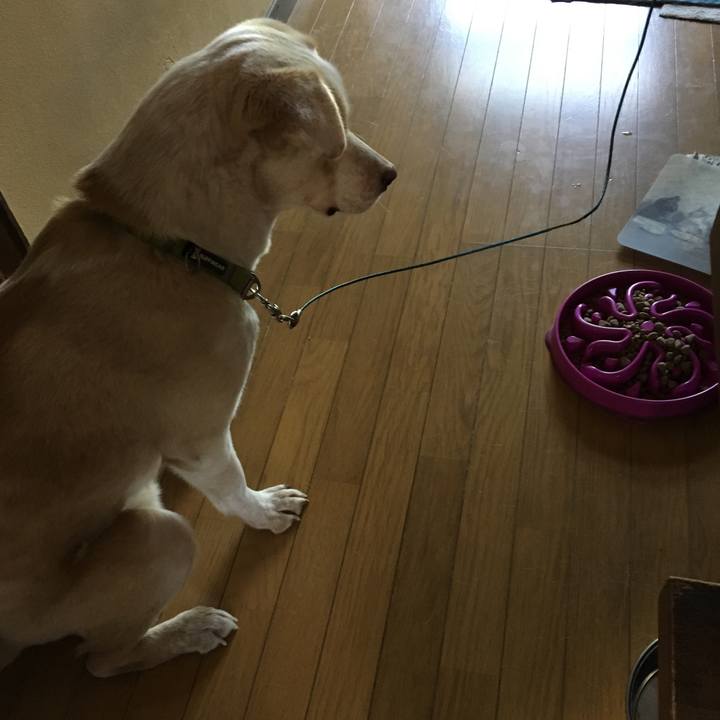 C9ae69ab 9f7d 4893 b08d c4a8368b93eb