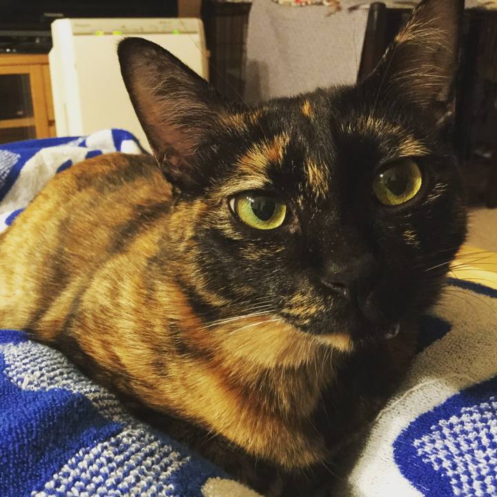 C9ae6cb9 6e4d 40be bc75 9b2655da6aa0