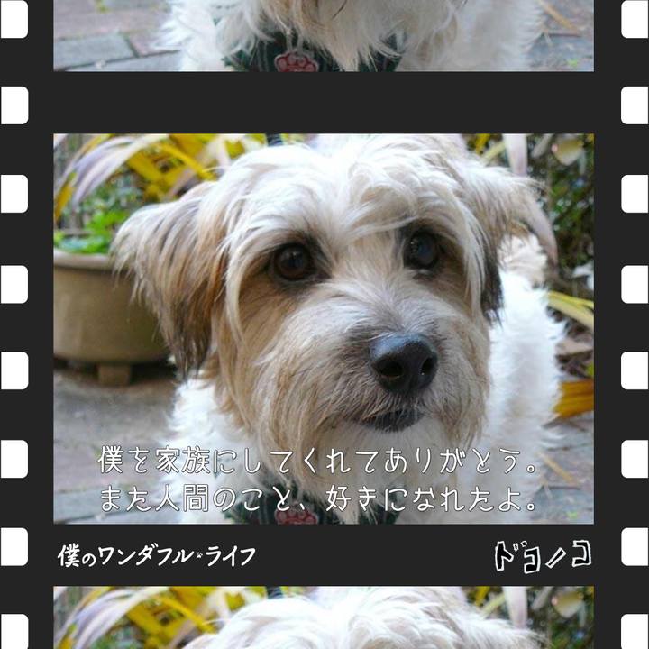 C9ae997d 7ce7 4341 9dd8 10bb784c6e4e