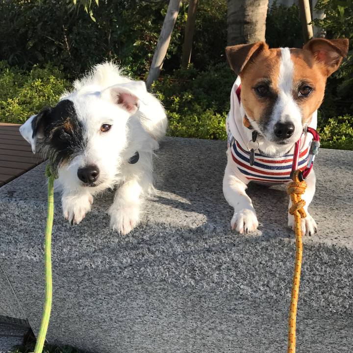 C9aec77a baae 4fad 9b19 651a8b06d2aa