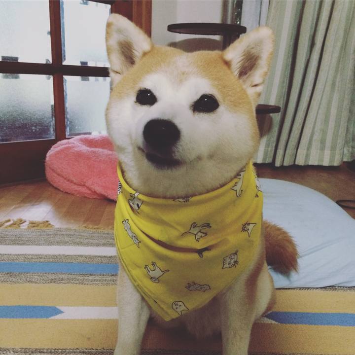 C9aeeee5 4a3e 4171 9dec 7d30648ec757