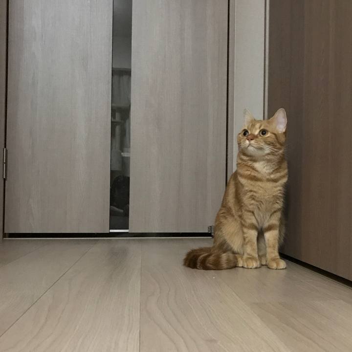 C9afa25c 8a48 4fbb 8af4 98b4925ae04f