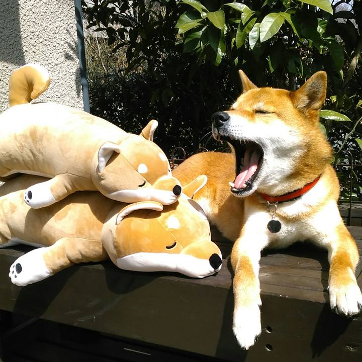 C9b04081 7e0a 4ebf 96c1 1609a17b041c