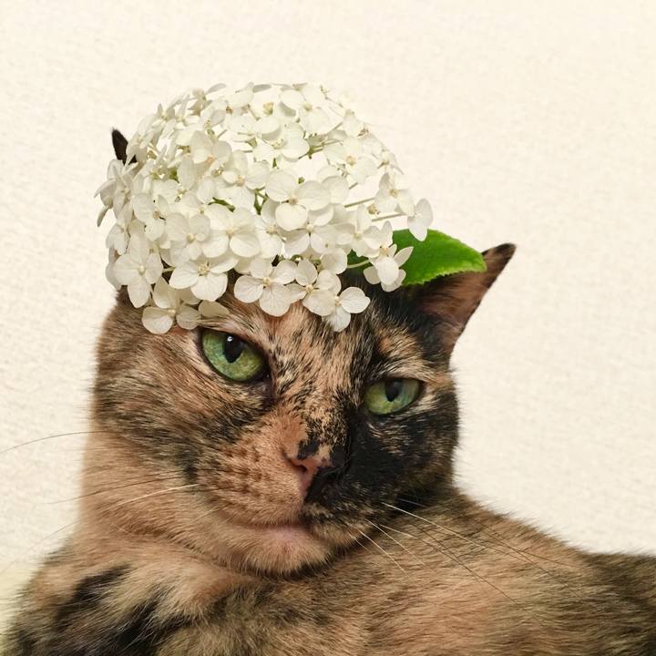 C9b054ac 31d0 4572 8774 133d83bea52f