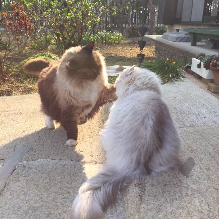 C9b0c74e 0b86 4b37 a375 554935e10eb6