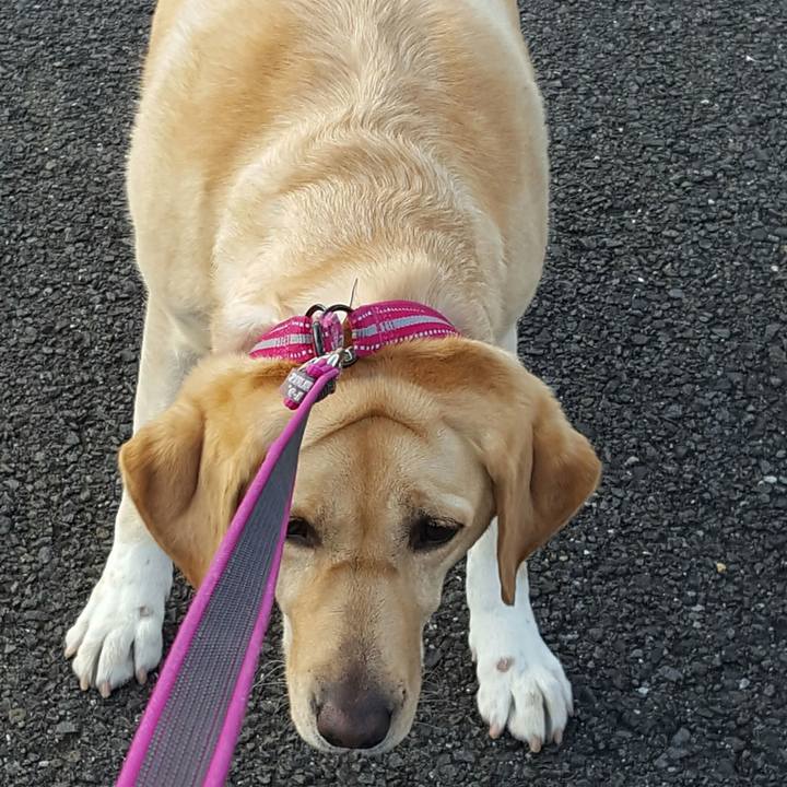 C9b0f8a5 bf4a 4249 a689 18b1a0fe87d4