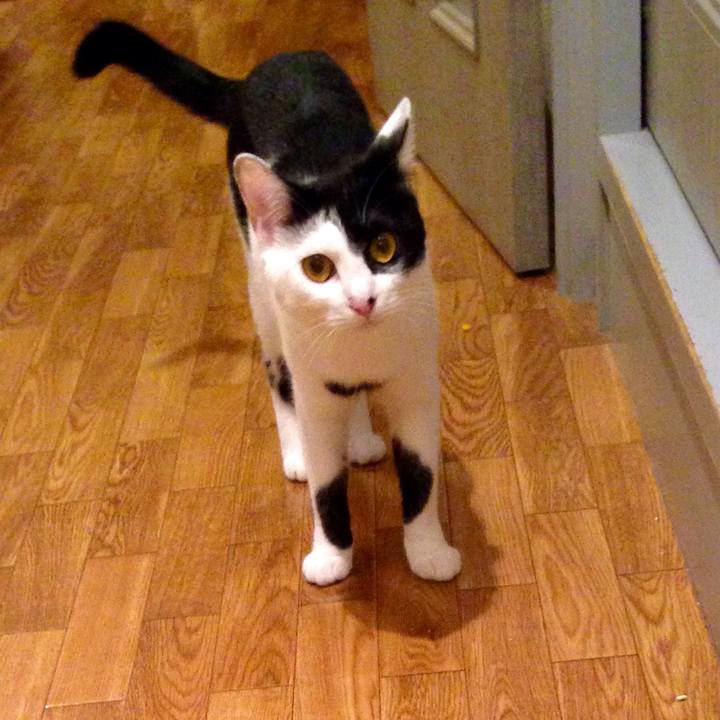 C9b1a8c9 fe26 477e a5b4 e1aab792662b