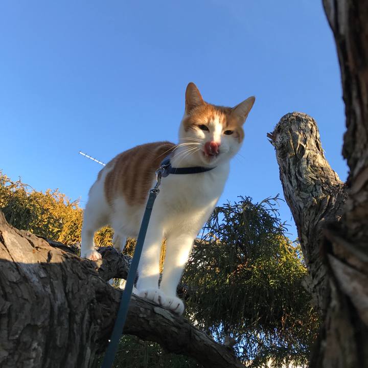 C9b233ed fab4 4a84 9605 85498c77fe0a