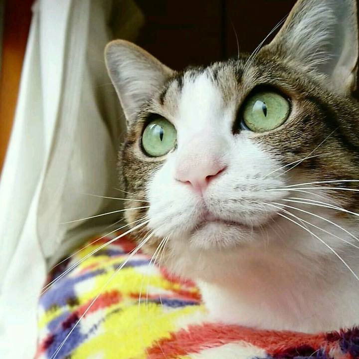 C9b35637 2744 41a7 8a15 ff03f7777dbf