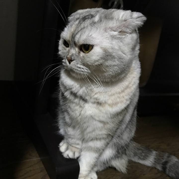 C9b3da95 d642 4dd3 a5b6 3260747dfe6c