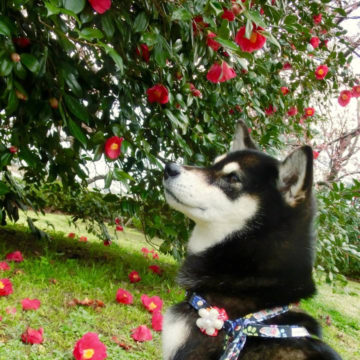 C9b4a484 6236 4dbe 920c 91af731c35f8