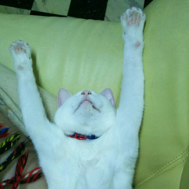 C9b4a676 3470 42d4 908d ad853044d55d