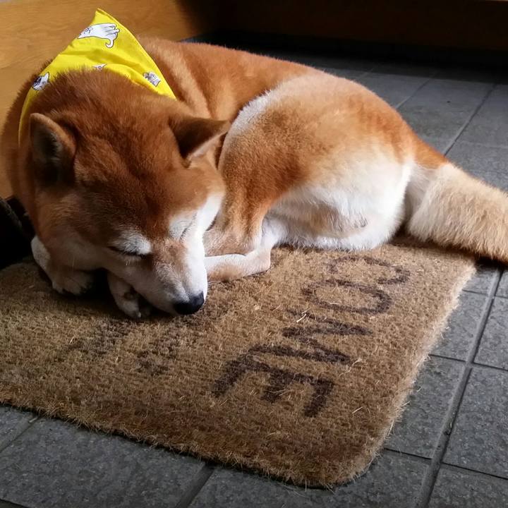 C9b59685 821f 4ccf 8b9e bc757178fb54