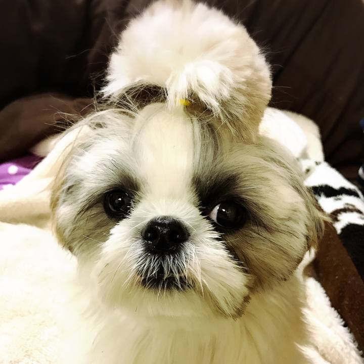 C9b5ce77 99ba 41c2 8379 fdfefae457c0