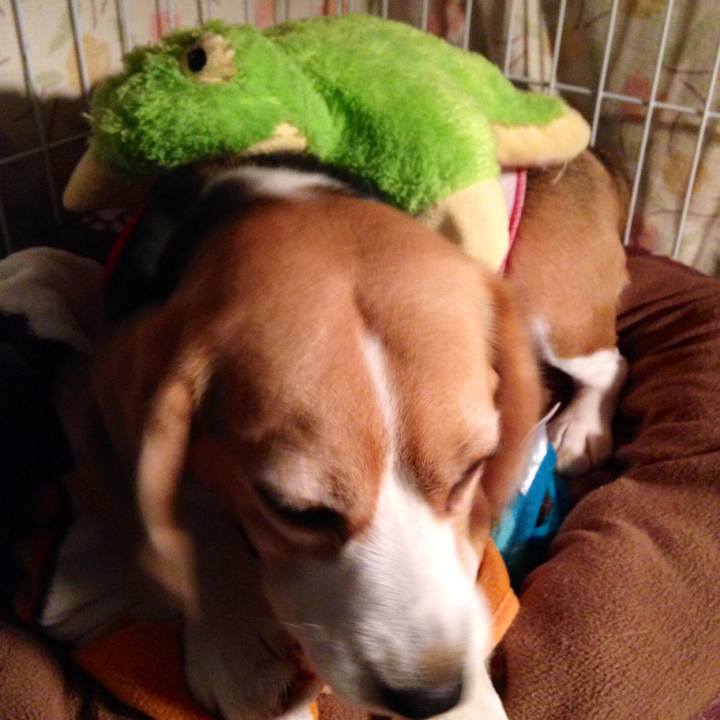 C9b63652 0256 40e5 a9ed a4deefcf8110