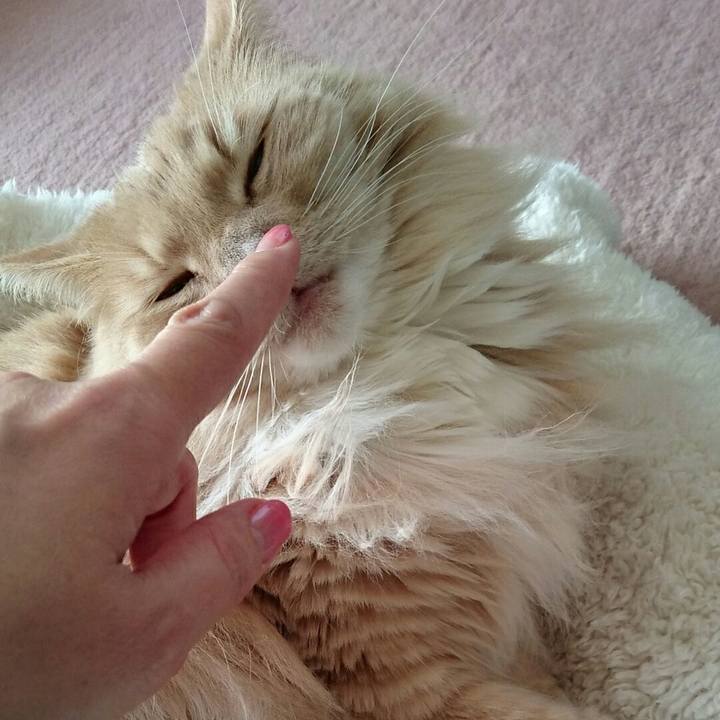 C9b72e65 349c 4011 8ed1 47c86a4c6aad