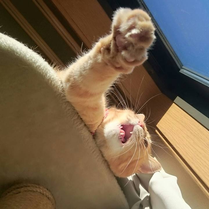 C9b78cf5 fc80 4886 8518 0a7ceef78bdd