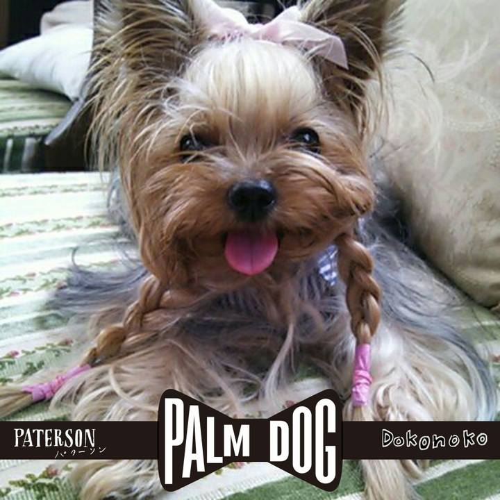 C9b7c948 0a29 4e3f 8501 158a3cf98eea