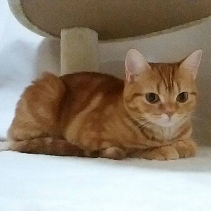 C9b881f0 fd3a 45fa a1da 225f6494a227