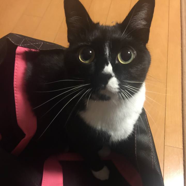 C9b9bc65 9476 4cc7 b0b5 61eff133537d