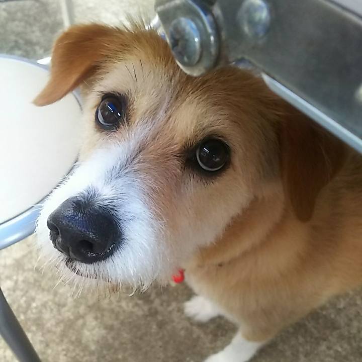 C9ba4680 966c 44db a961 e9ac43dc1ff3