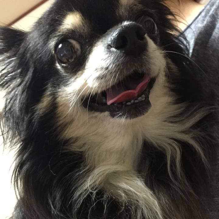 C9ba580f 1998 4916 b156 3bc0a623598e