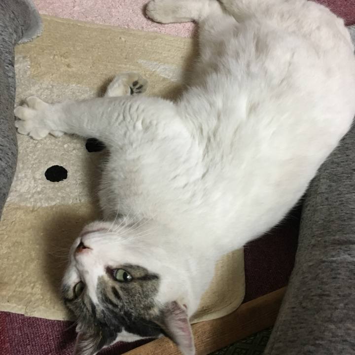 C9bccfcb 7905 49d4 89df 217a17cebe80