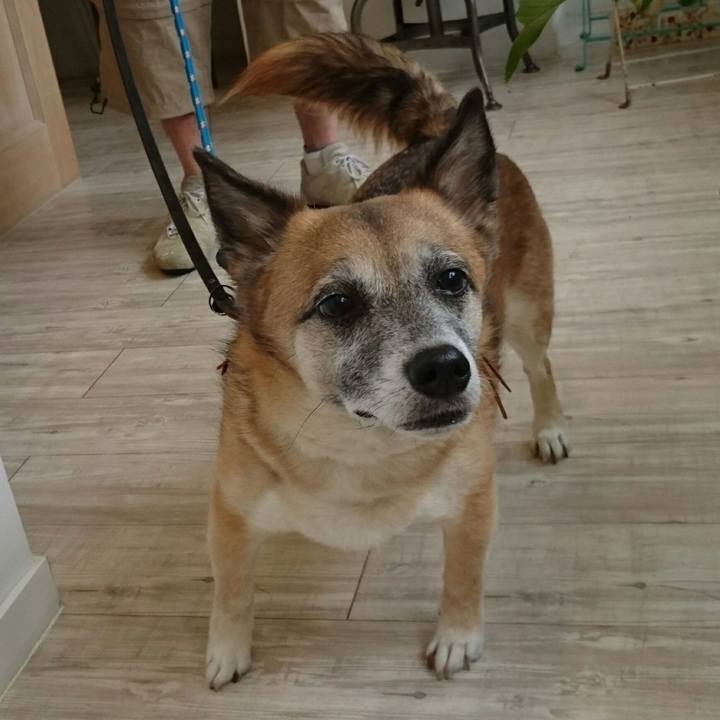 C9bcefa8 1f73 4c1b b53e db1f840f53ab