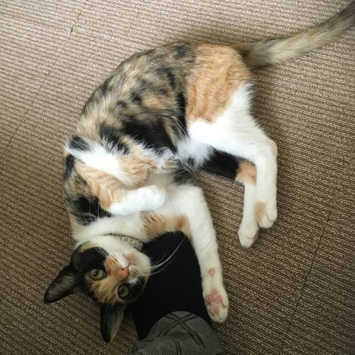 C9bd15b1 a102 4e1b a70e f6289cbf993f