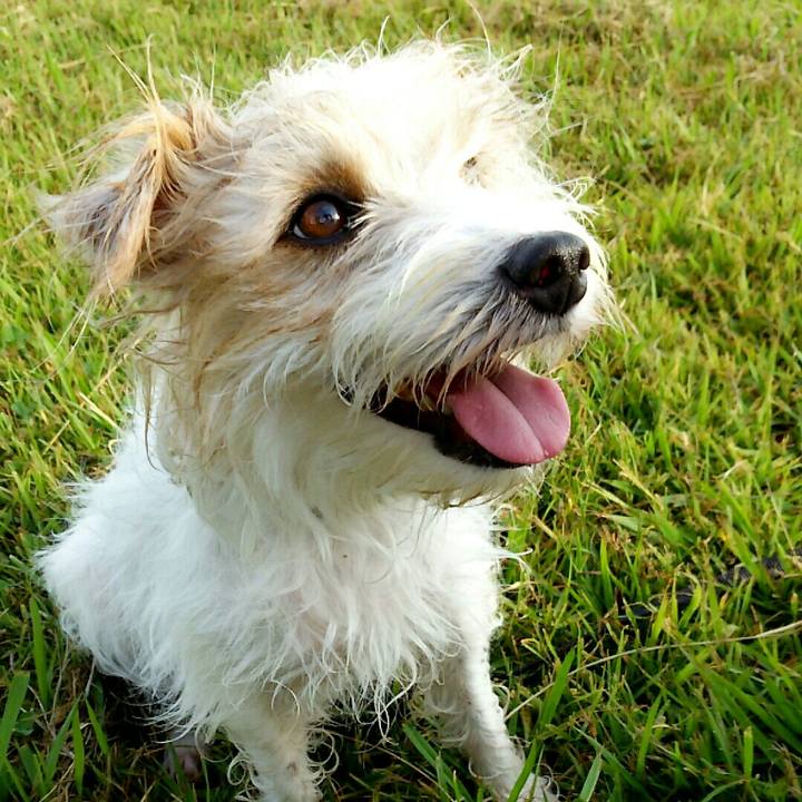 C9beb1d8 778b 4ec0 ab0e f21d5d46f992