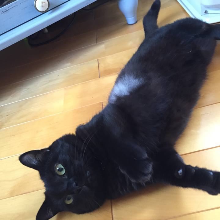 C9becbfe 3b8a 4696 8266 0b10324d1861